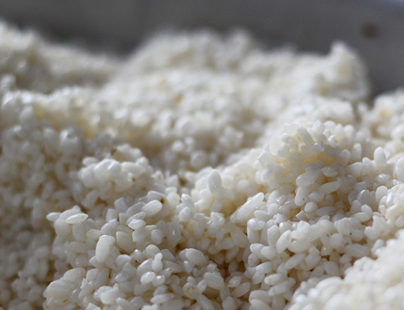 Đặc sản Tết: Dẻo thơm gạo nếp Phì Điền